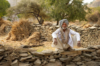 The farmer