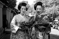Geishas in Kyoto
