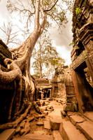 2011-12-22 at 13-12-10