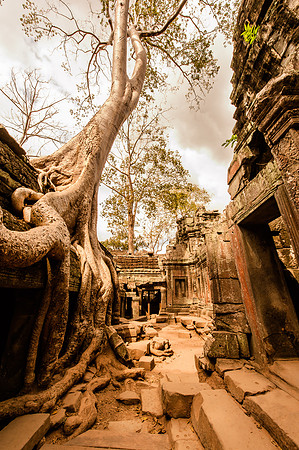 2011-12-22 at 13-12-10
