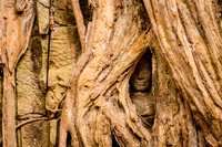 2011-12-22 at 13-21-04