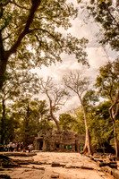 2011-12-22 at 13-36-21