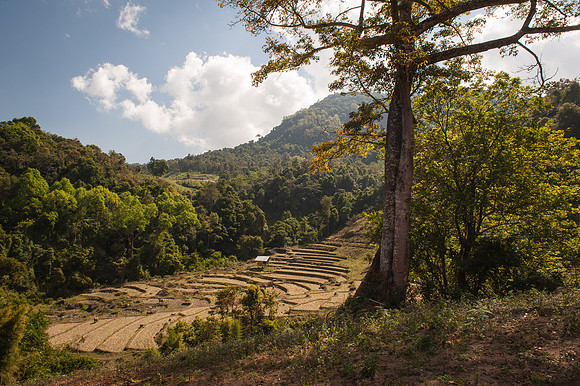 Chiang Mai-17