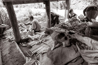 Chiang Mai-19