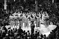 Sumo tournament