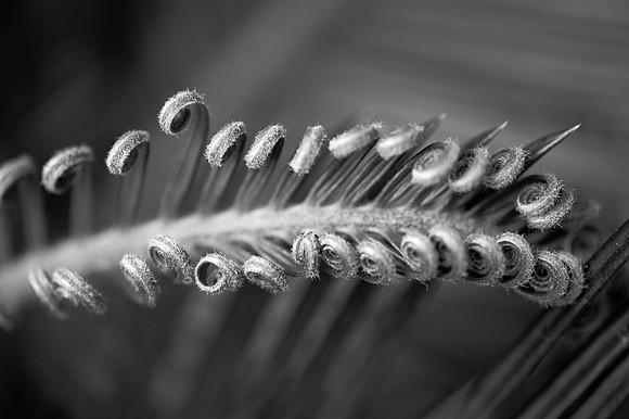20120613-_DSC8751
