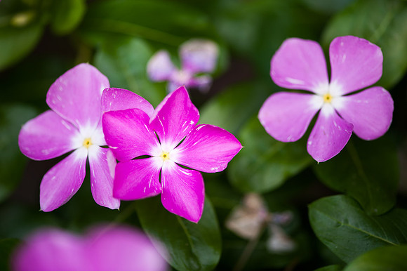 20120613-_DSC8730