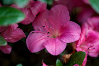 20120613-_DSC8739