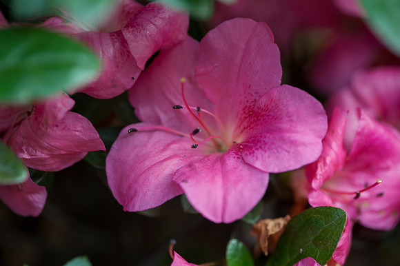 20120613-_DSC8739