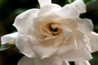 20120613-_DSC8713