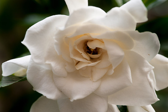 20120613-_DSC8713