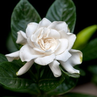 20120613-_DSC8702