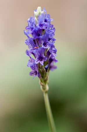 20120613-_DSC8720
